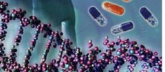 analise-de-dna-varginha-1376317240