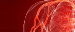 angiologia-varginha-1376317426