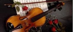 bandas-para-casamentos-e-festas-varginha-1375885002