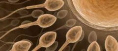 clinicas-de-fertilizacao-humana-varginha-1376326685