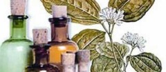 farmacias-de-homeopatia-varginha-1376329291