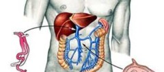 gastroenterologia-varginha-1376330238
