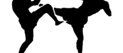 kickboxing-varginha-1375798596
