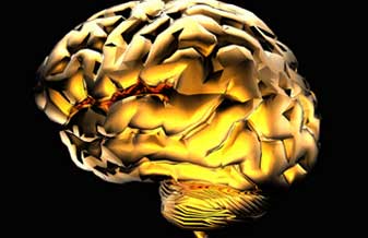 Márcio João Frank Amaral - Foto 1