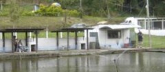 pesqueiros-varginha-1375459404