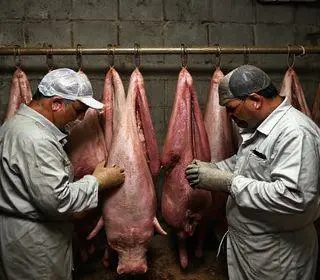 carne clandestina
