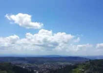 Varginha