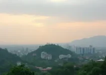 Varginha