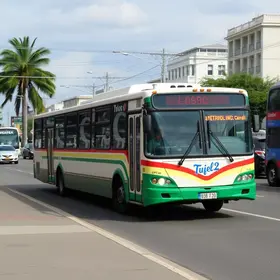 ônibus do transporte coletivo