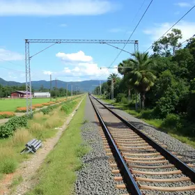 leilão do corredor ferroviário Minas-Rio
