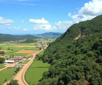 polo de exportação