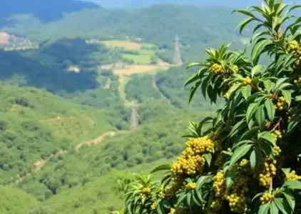 Últimas noticias de Varginha